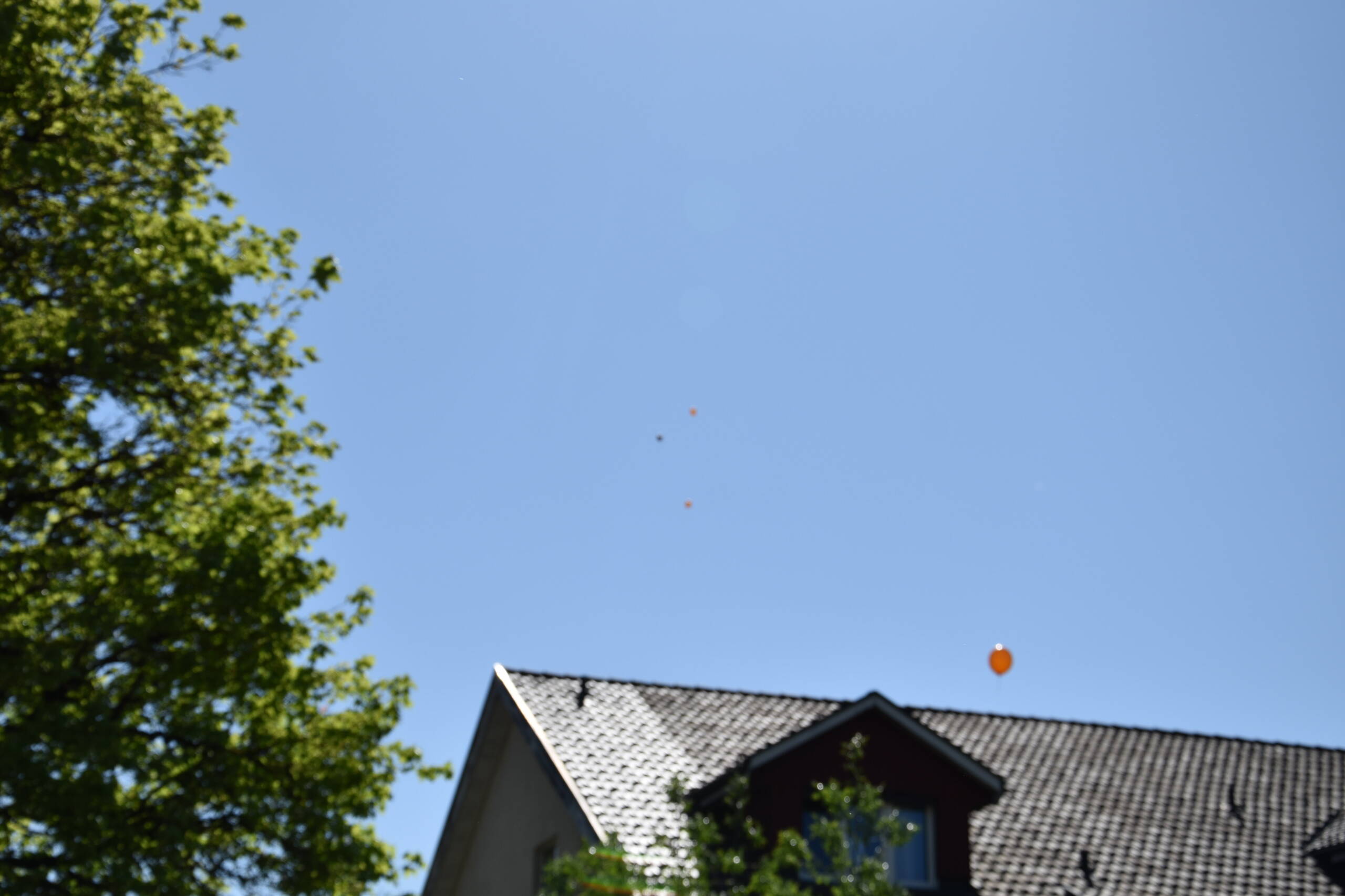 dsc_0073.jpg