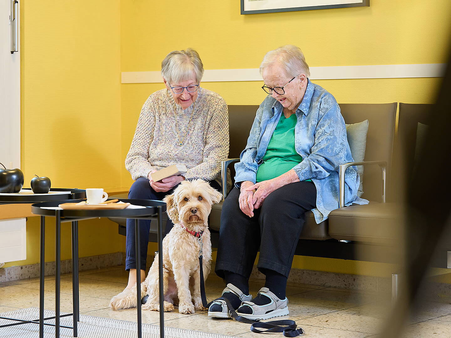 murhof_stimmungsbilder_2025_279.jpg murhof_stimmungsbilder_2025_279.jpg