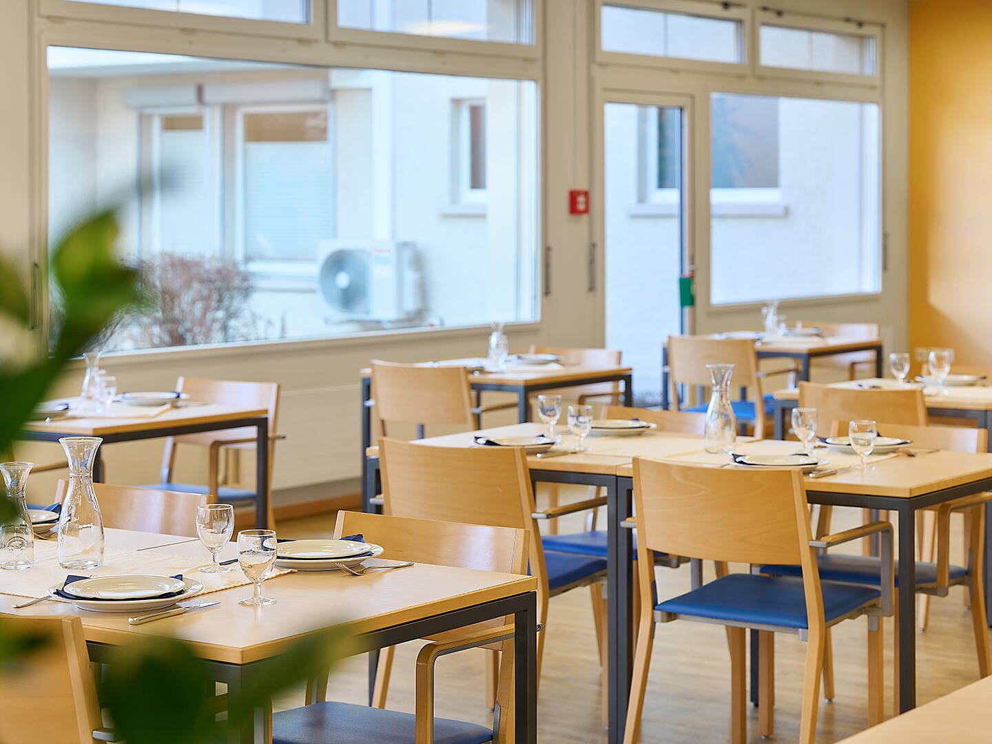 murhof_stimmungsbilder_2025_764.jpg murhof_stimmungsbilder_2025_764.jpg